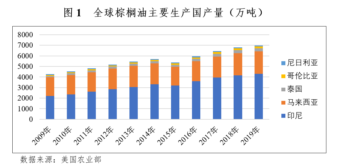 棕榈油与期货市场，影响分析、投资策略及市场洞察