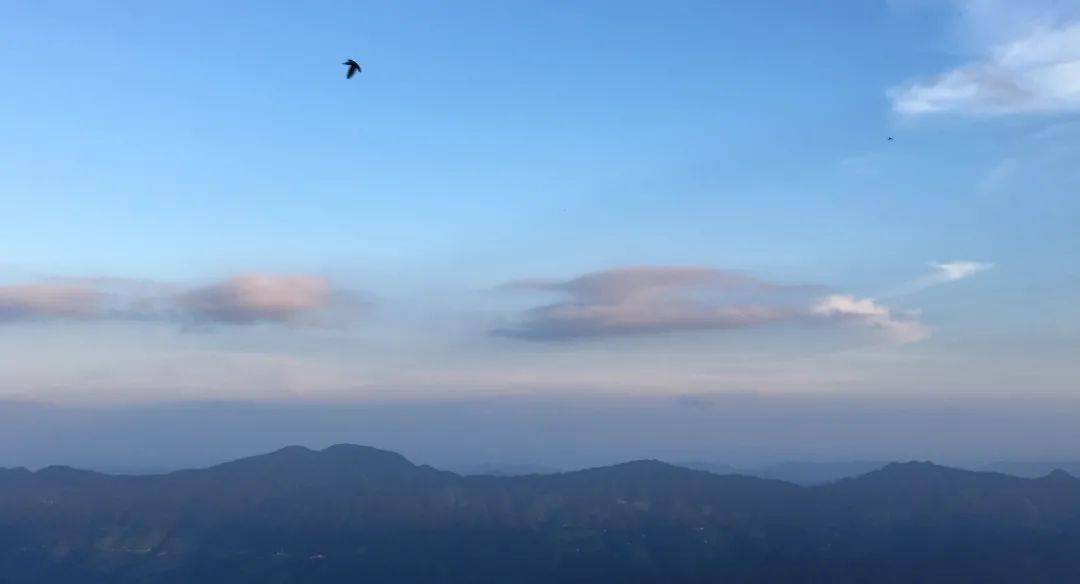 特高压之旅，与自然美景的浪漫邂逅，探寻内心的宁静与平和之路