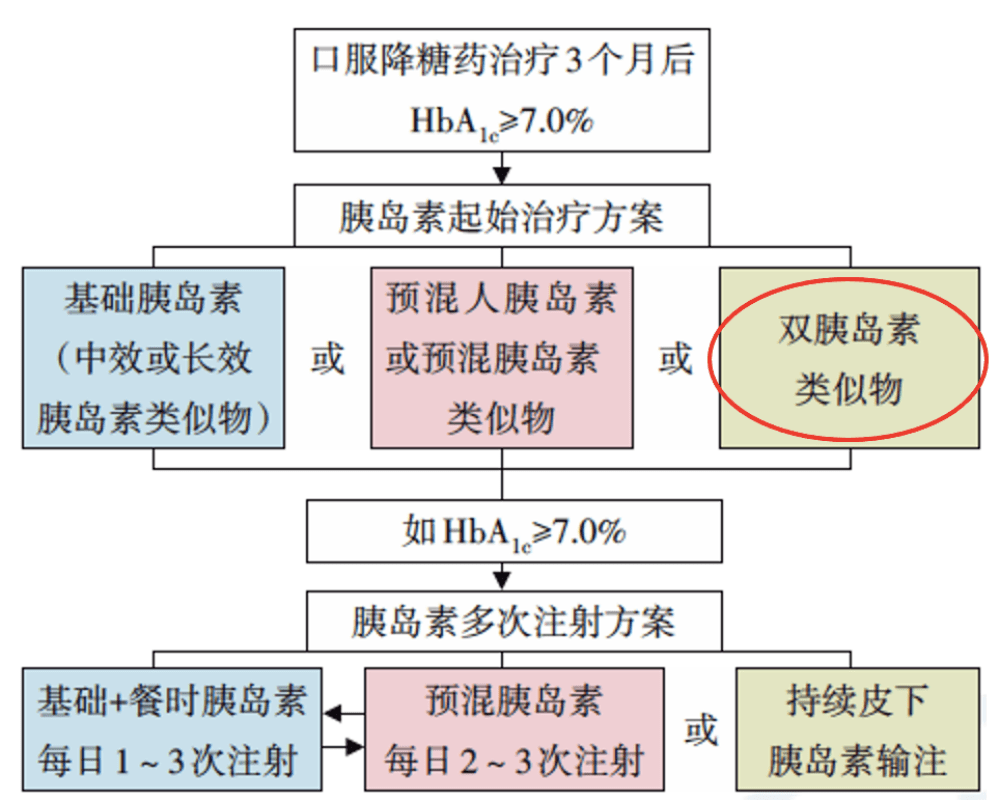 11月3日最新版包包潮流解析，时尚焦点与潮流趋势探讨