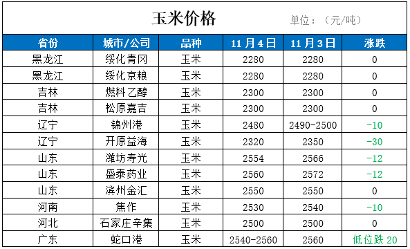 2024年11月4日 第10页