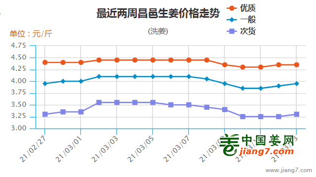 昌邑生姜市场最新动态，多方观点下的市场洞察与价格分析（11月5日）