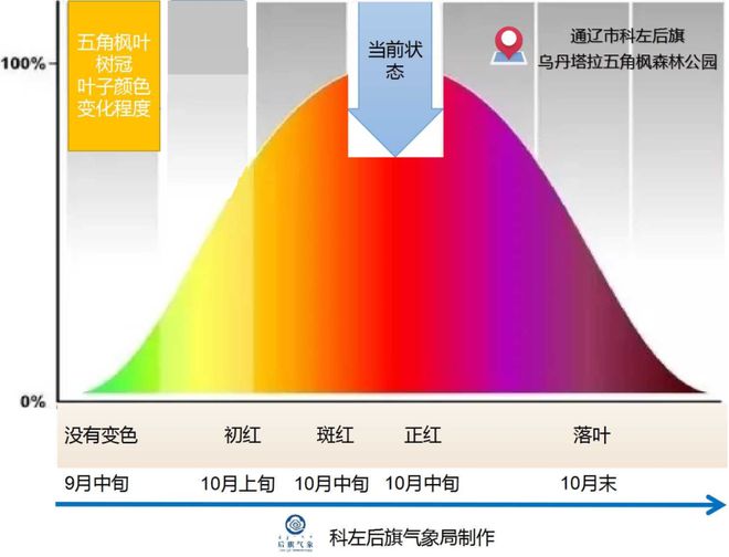 桐柏天气预报一周回顾与气象科技新纪元探索，历史上的11月10日最新天气预报领航