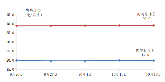 广东鸡市场最新行情深度解析，聚焦鸡价格动态（11月10日）