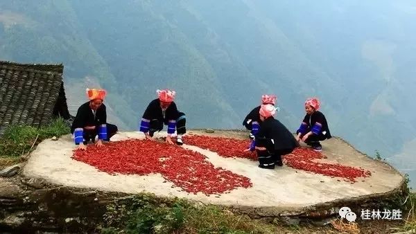 揭秘龙胜秘境，自然与心灵的双重之旅——最新新闻