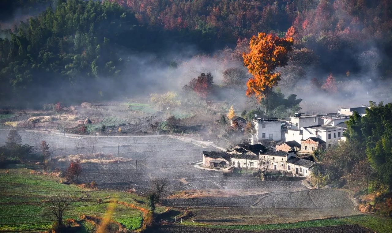 黄馨天