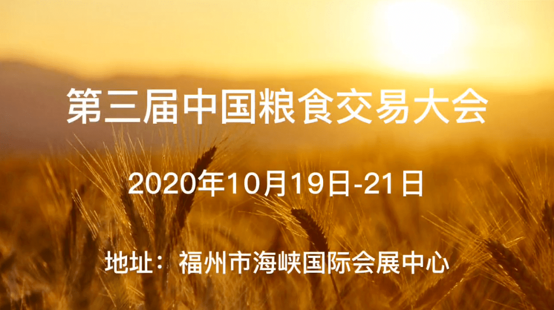 潮州纪检网新篇章，学习变化的力量，激发自信与成就感的励志号角（11月17日最新消息）