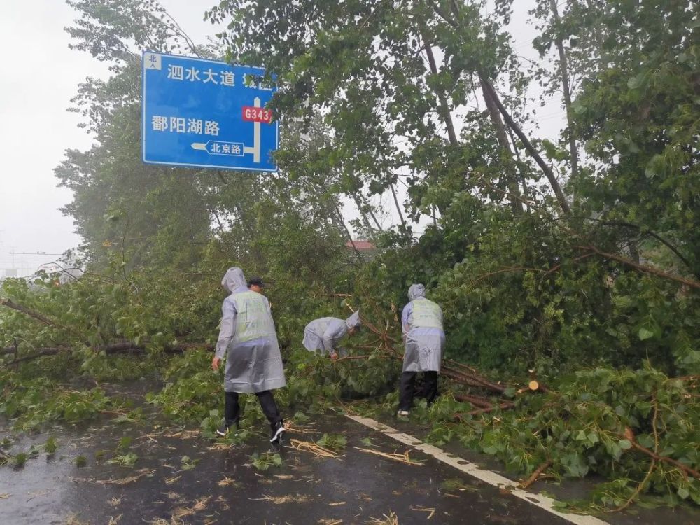 泗阳十一月温馨日常，温暖时光回顾