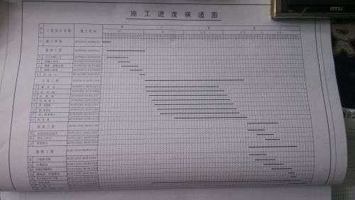 宁河129栋建设最新进度报告，11月17日施工流程详解与进度更新指南