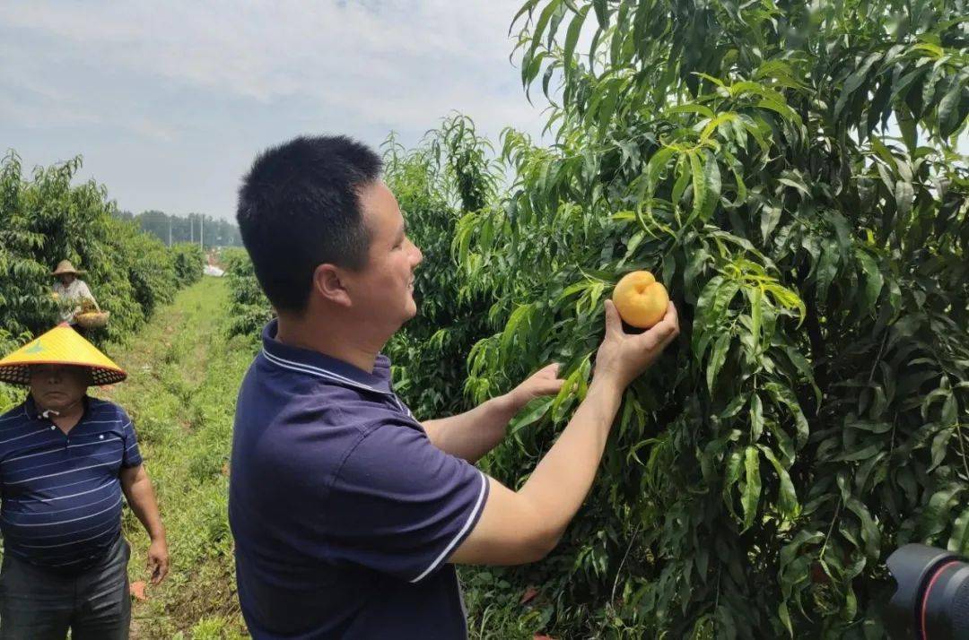 揭秘天泉小镇，巷弄风情与隐藏小店的探秘之旅（最新动态）